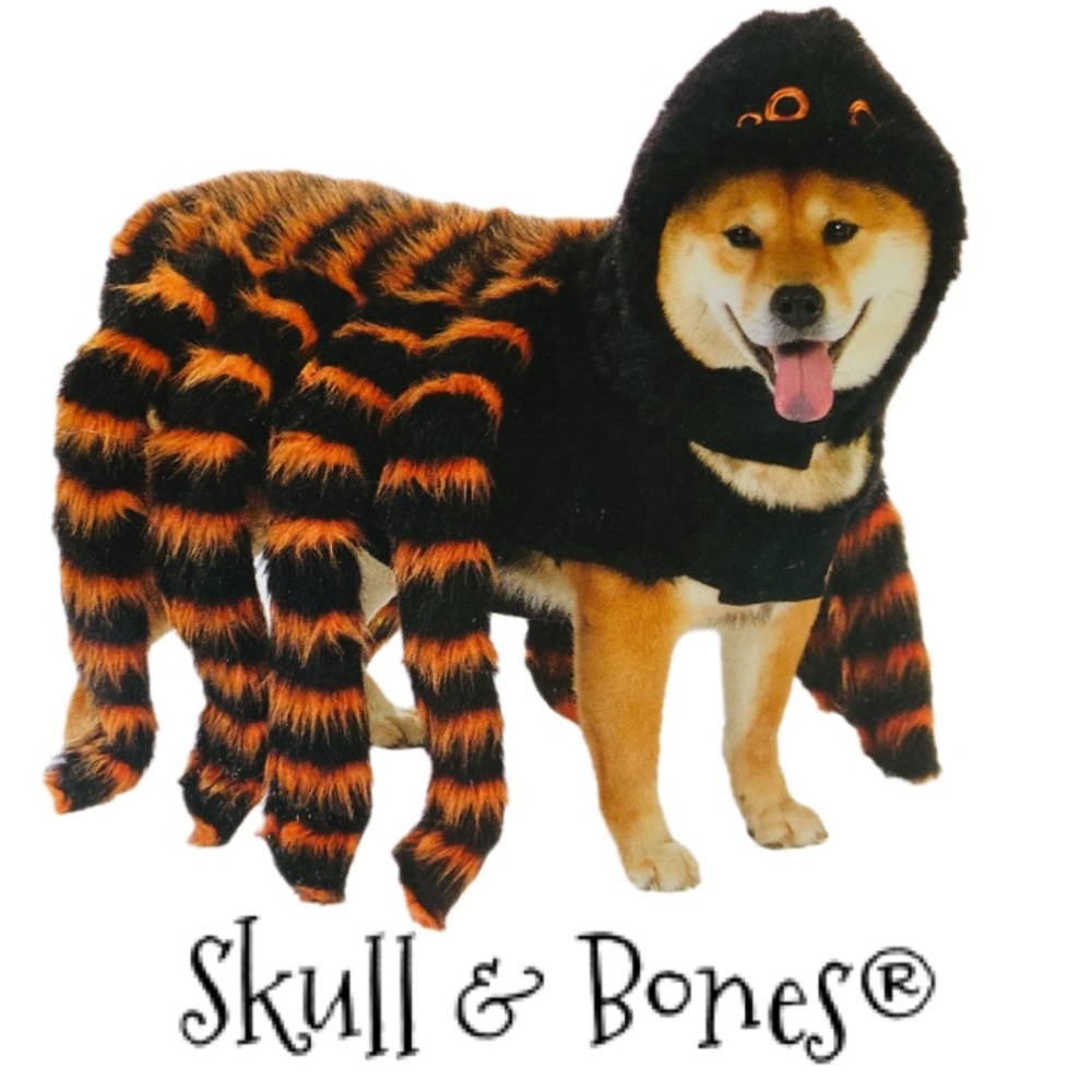 SKULL & BONES Spooky Spider Pet Halloween Costume Size XL
